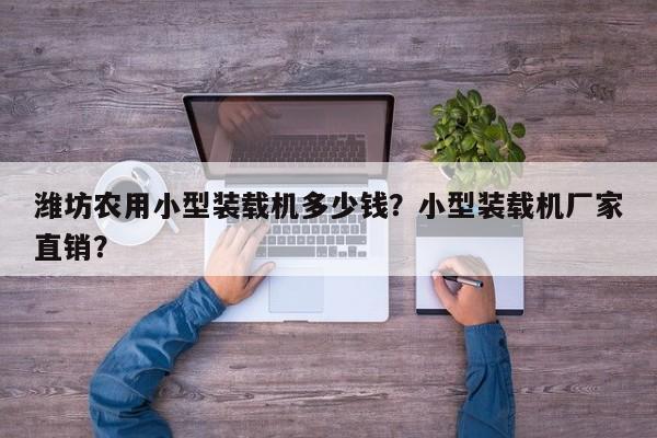 濰坊農(nóng)用小型裝載機多少錢？小型裝載機廠家直銷？
