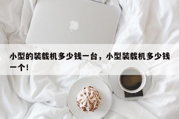 小型的裝載機(jī)多少錢一臺(tái)，小型裝載機(jī)多少錢一個(gè)！