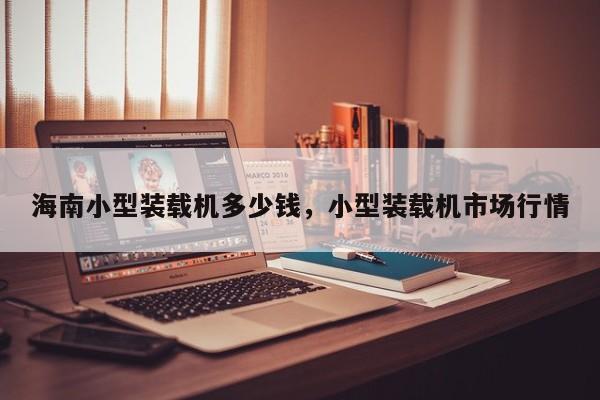 海南小型裝載機多少錢，小型裝載機市場行情