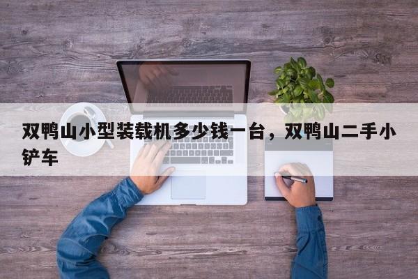 雙鴨山小型裝載機多少錢一臺，雙鴨山二手小鏟車