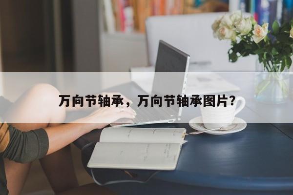 萬向節(jié)軸承，萬向節(jié)軸承圖片？