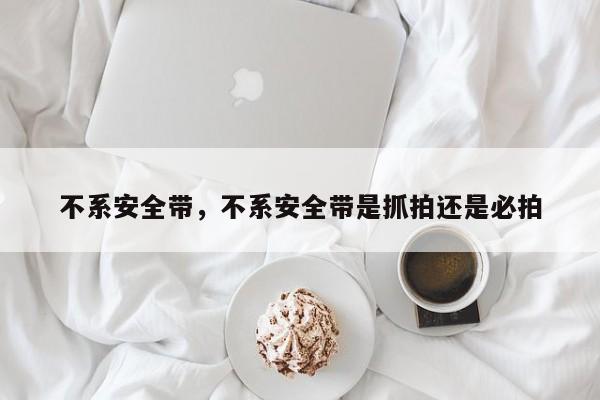 不系安全帶，不系安全帶是抓拍還是必拍