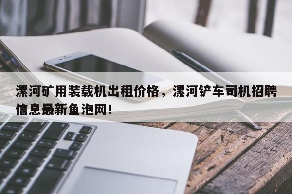漯河礦用裝載機(jī)出租價格，漯河鏟車司機(jī)招聘信息最新魚泡網(wǎng)！