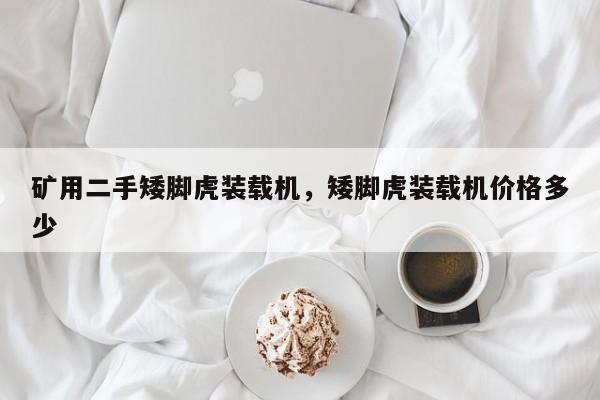 礦用二手矮腳虎裝載機，矮腳虎裝載機價格多少
