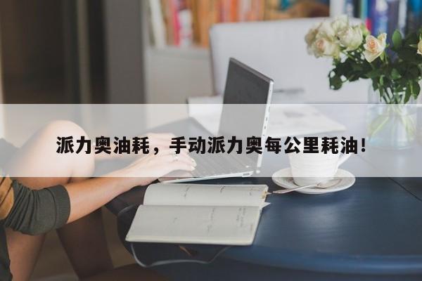 派力奧油耗，手動派力奧每公里耗油！