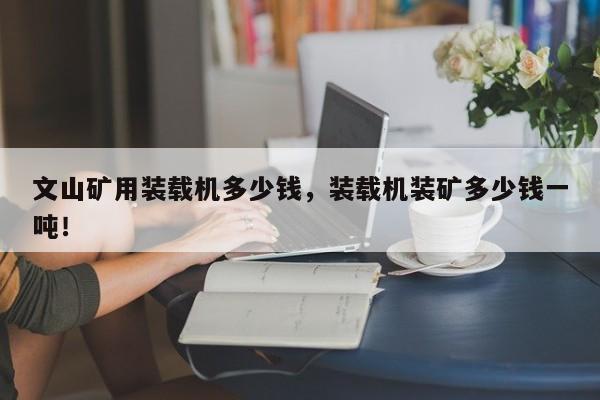 文山礦用裝載機(jī)多少錢(qián)，裝載機(jī)裝礦多少錢(qián)一噸！