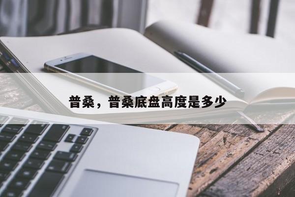 普桑，普桑底盤高度是多少