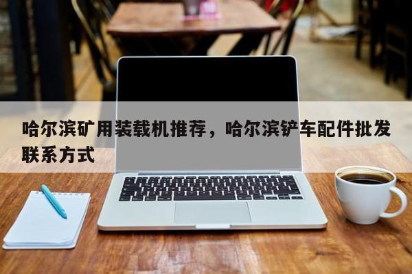 哈爾濱礦用裝載機(jī)推薦，哈爾濱鏟車配件批發(fā)聯(lián)系方式