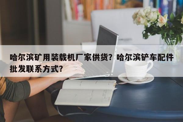 哈爾濱礦用裝載機(jī)廠家供貨？哈爾濱鏟車配件批發(fā)聯(lián)系方式？