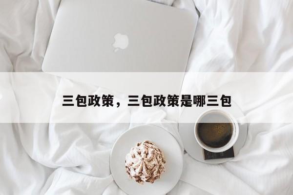 三包政策，三包政策是哪三包
