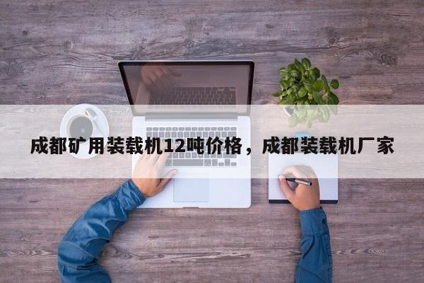 成都礦用裝載機12噸價格，成都裝載機廠家