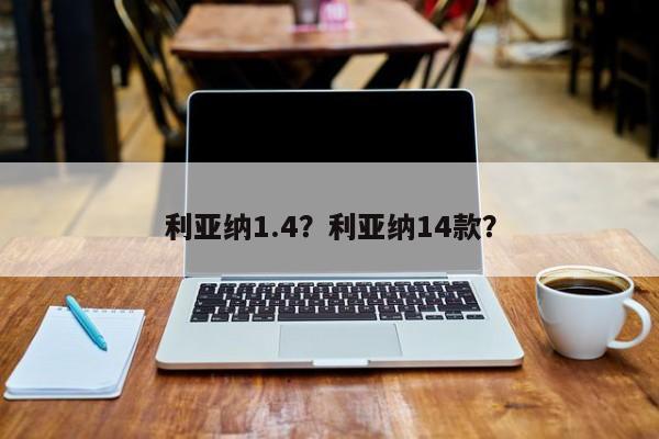 利亞納1.4？利亞納14款？
