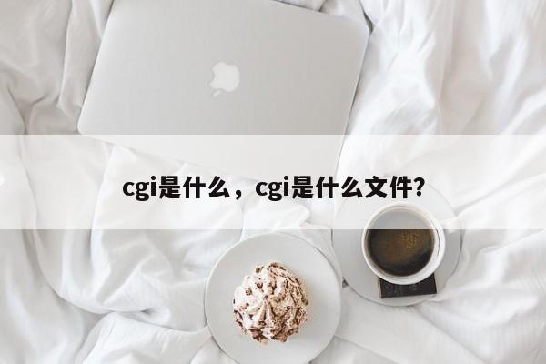 cgi是什么，cgi是什么文件？