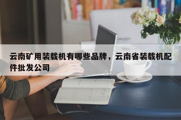 云南礦用裝載機(jī)有哪些品牌，云南省裝載機(jī)配件批發(fā)公司