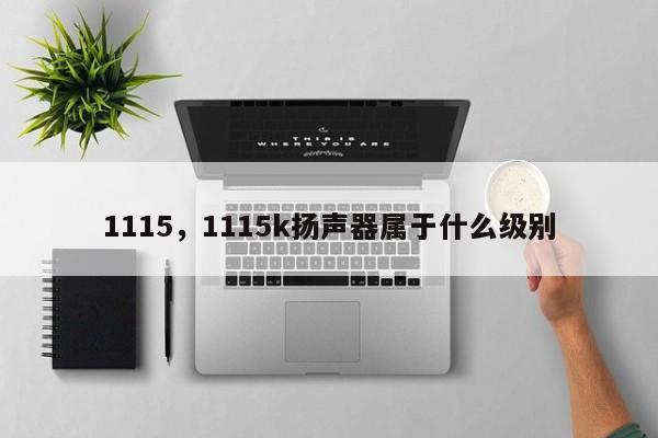 1115，1115k揚(yáng)聲器屬于什么級(jí)別